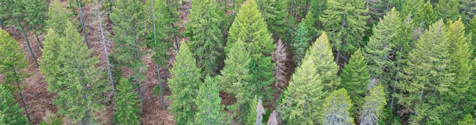 Deer Park Milan Rd, Other, Washington 99003, 0 , 0 ,0,Land/lots,For Sale,Deer Park Milan Rd,0,288856