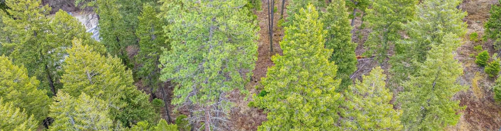 Deer Park Milan Rd, Other, Washington 99003, 0 , 0 ,0,Land/lots,For Sale,Deer Park Milan Rd,0,288856