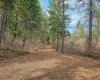 Deer Park Milan Rd, Other, Washington 99003, 0 , 0 ,0,Land/lots,For Sale,Deer Park Milan Rd,0,288856