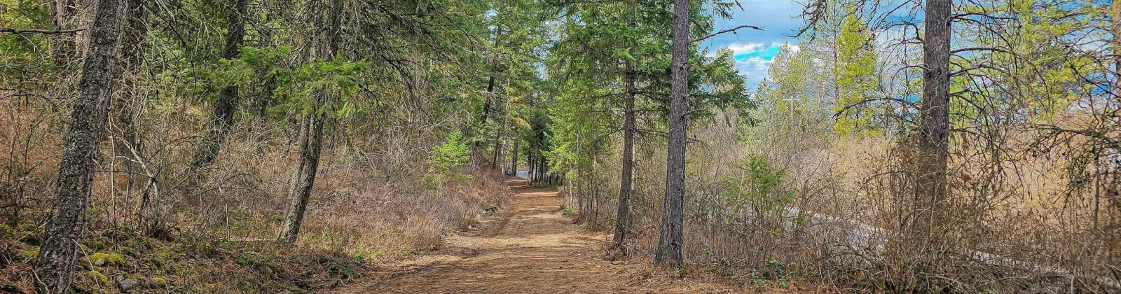 Deer Park Milan Rd, Other, Washington 99003, 0 , 0 ,0,Land/lots,For Sale,Deer Park Milan Rd,0,288856