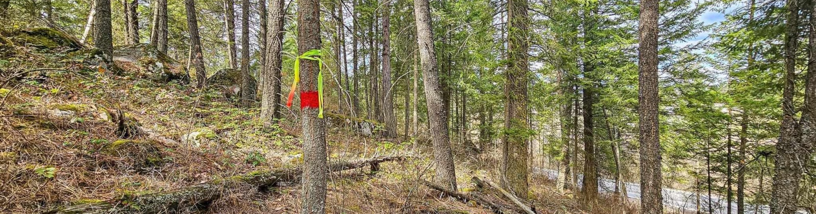 Deer Park Milan Rd, Other, Washington 99003, 0 , 0 ,0,Land/lots,For Sale,Deer Park Milan Rd,0,288856