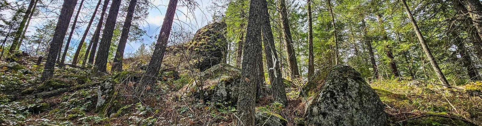 Deer Park Milan Rd, Other, Washington 99003, 0 , 0 ,0,Land/lots,For Sale,Deer Park Milan Rd,0,288856