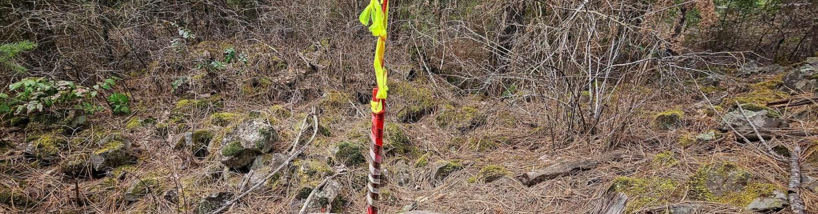 Deer Park Milan Rd, Other, Washington 99003, 0 , 0 ,0,Land/lots,For Sale,Deer Park Milan Rd,0,288856