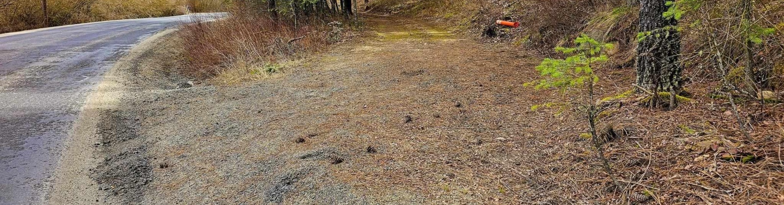 Deer Park Milan Rd, Other, Washington 99003, 0 , 0 ,0,Land/lots,For Sale,Deer Park Milan Rd,0,288856