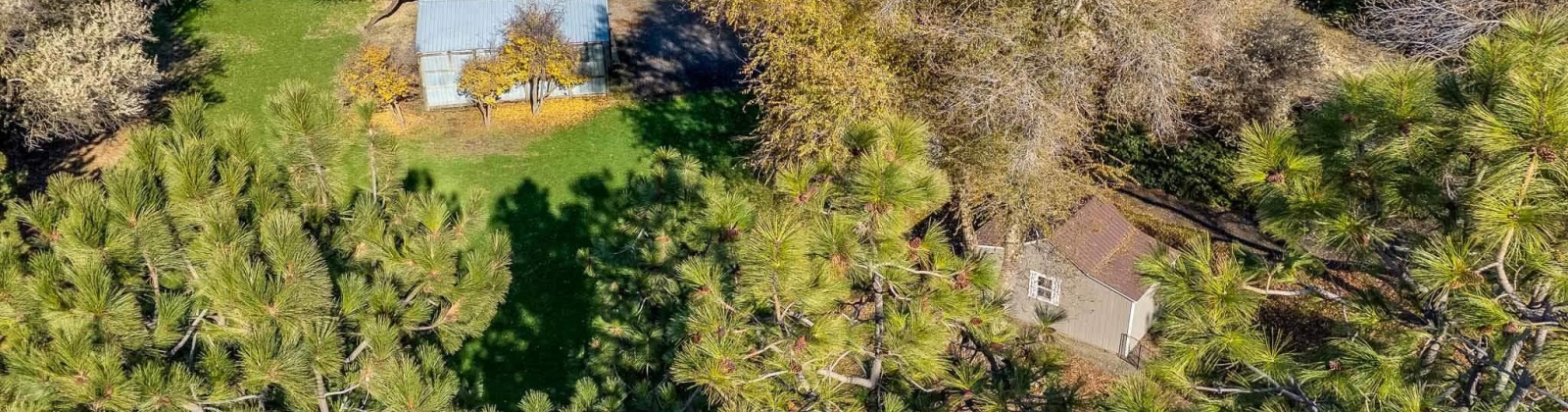 Union Flat Creek Rd, Endicott, Washington 99125, 3 Bedrooms Bedrooms, 0 ,3 BathroomsBathrooms,Manufactured Homes,For Sale,Union Flat Creek Rd,0,288862