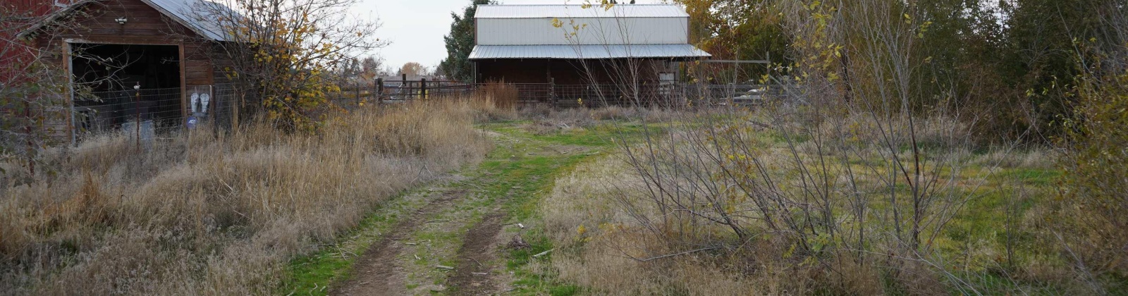 North River Rd Lot 4, Prosser, Washington 99350, 0 , 0 ,0,Land/lots,For Sale,North River Rd Lot 4,0,288872