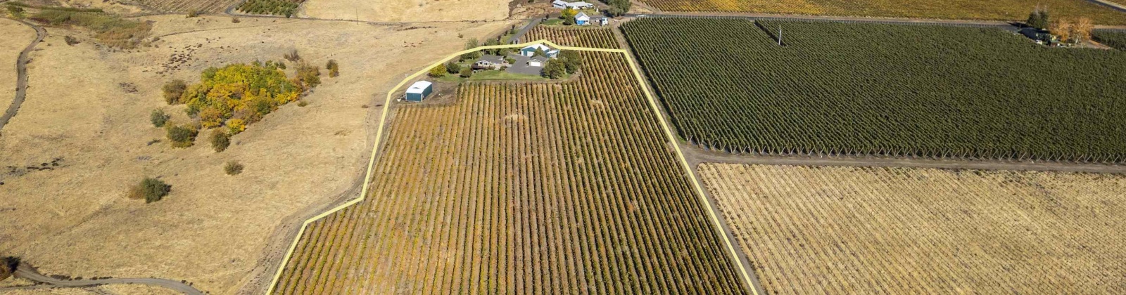 Gerrick Road, Benton City, Washington 99320, 3 Bedrooms Bedrooms, 0 ,2 BathroomsBathrooms,Houses,For Sale,Gerrick Road,0,288882