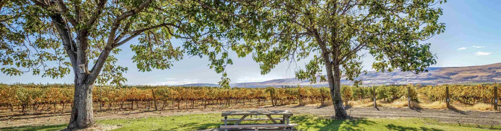 Gerrick Road, Benton City, Washington 99320, 3 Bedrooms Bedrooms, 0 ,2 BathroomsBathrooms,Houses,For Sale,Gerrick Road,0,288882