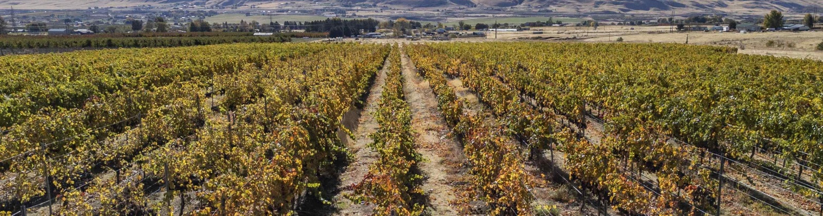 Gerrick Road, Benton City, Washington 99320, 3 Bedrooms Bedrooms, 0 ,2 BathroomsBathrooms,Houses,For Sale,Gerrick Road,0,288882