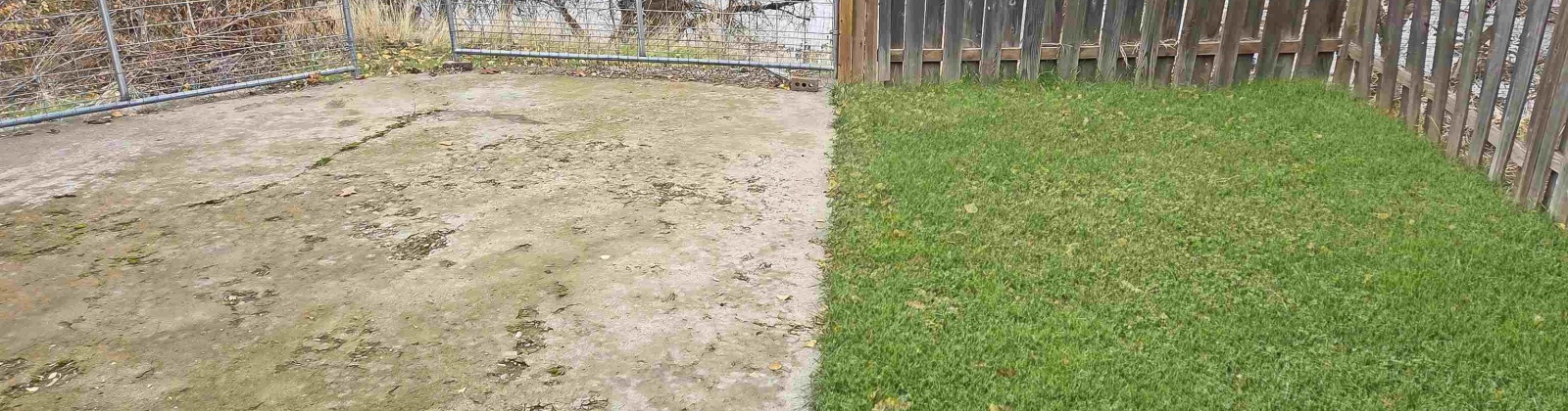 Mill St, Colfax, Washington 99111, 4 Bedrooms Bedrooms, 0 ,2 BathroomsBathrooms,Houses,For Sale,Mill St,0,288877