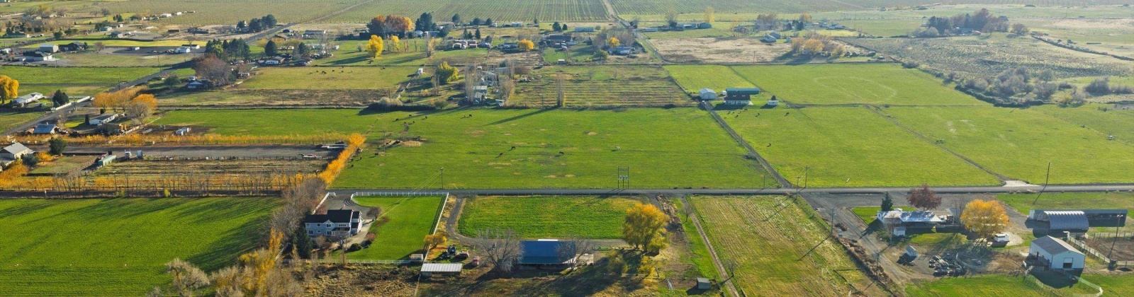 Buena Vista Rd, Prosser, Washington 99350, 3 Bedrooms Bedrooms, 0 ,3 BathroomsBathrooms,Houses,For Sale,Buena Vista Rd,0,288888