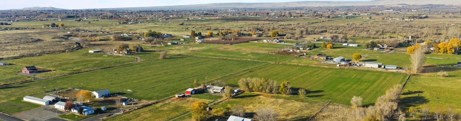 Buena Vista Rd, Prosser, Washington 99350, 3 Bedrooms Bedrooms, 0 ,3 BathroomsBathrooms,Houses,For Sale,Buena Vista Rd,0,288888
