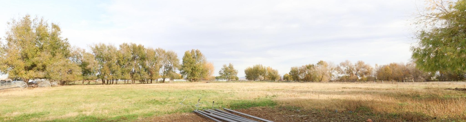 Buena Vista Rd, Prosser, Washington 99350, 3 Bedrooms Bedrooms, 0 ,3 BathroomsBathrooms,Houses,For Sale,Buena Vista Rd,0,288888