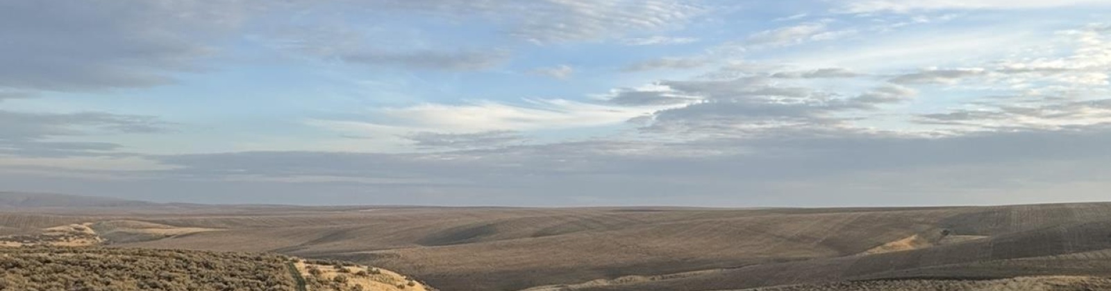 973 Pr SE, Kennewick, Washington 99338, 0 , 0 ,0,Land/lots,For Sale,973 Pr SE,0,288899