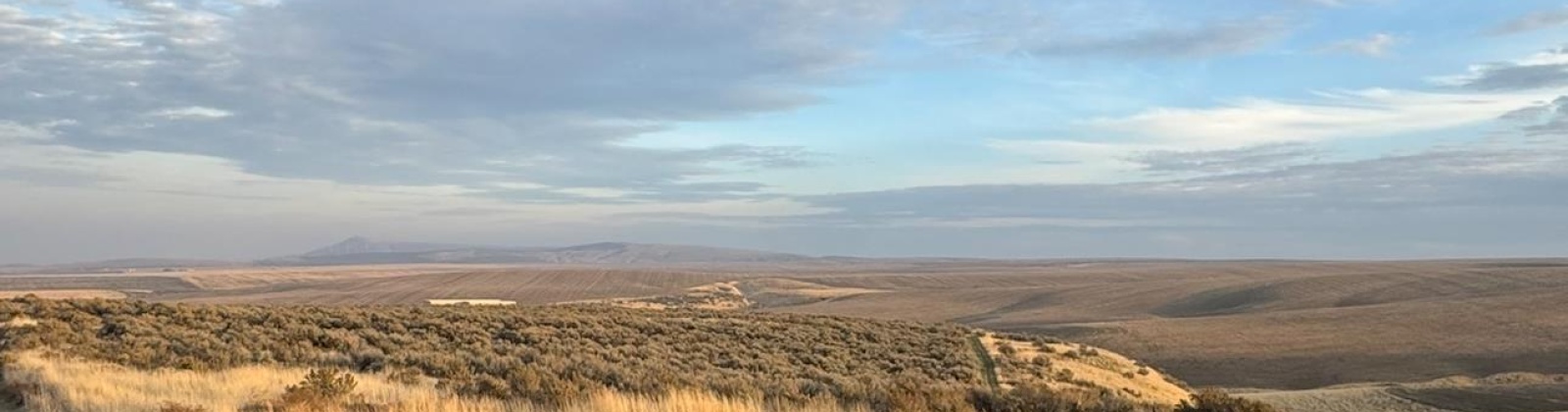 973 Pr SE, Kennewick, Washington 99338, 0 , 0 ,0,Land/lots,For Sale,973 Pr SE,0,288899