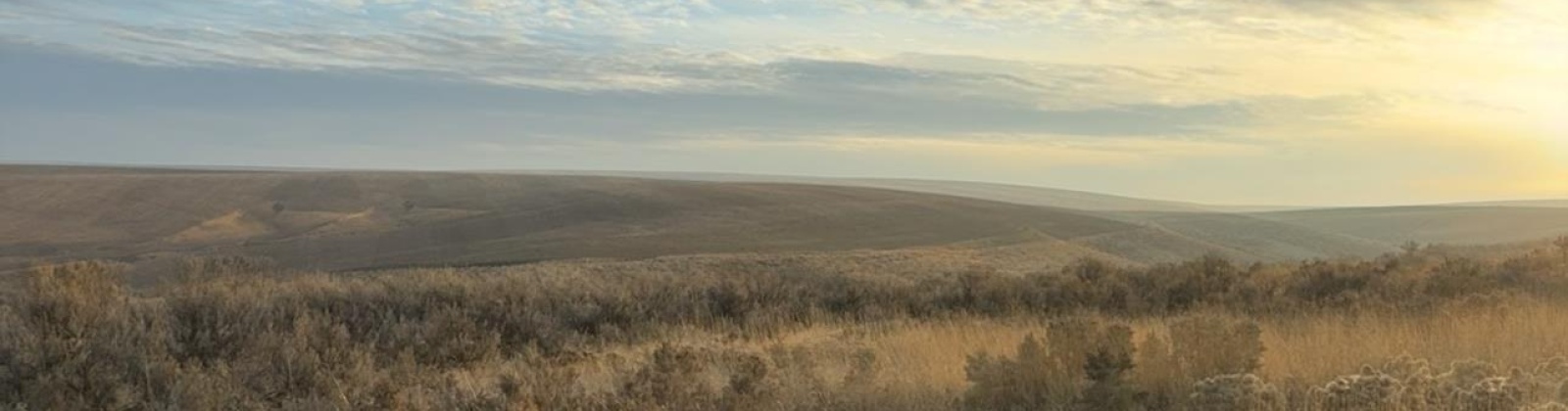 973 Pr SE, Kennewick, Washington 99338, 0 , 0 ,0,Land/lots,For Sale,973 Pr SE,0,288899