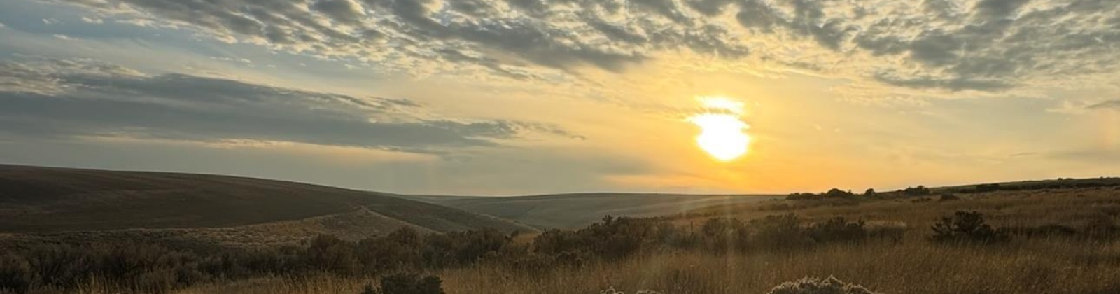 973 Pr SE, Kennewick, Washington 99338, 0 , 0 ,0,Land/lots,For Sale,973 Pr SE,0,288899