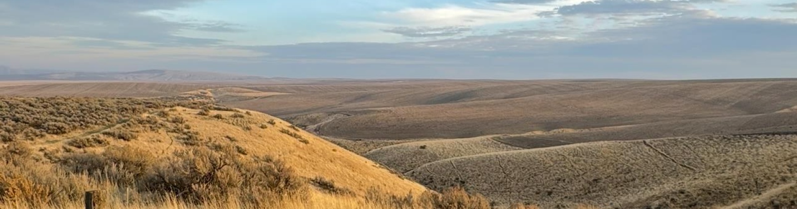 973 Pr SE, Kennewick, Washington 99338, 0 , 0 ,0,Land/lots,For Sale,973 Pr SE,0,288899