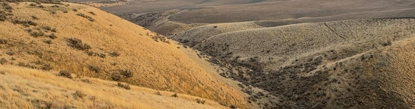 973 Pr SE, Kennewick, Washington 99338, 0 , 0 ,0,Land/lots,For Sale,973 Pr SE,0,288899