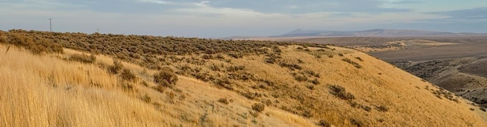 973 Pr SE, Kennewick, Washington 99338, 0 , 0 ,0,Land/lots,For Sale,973 Pr SE,0,288899