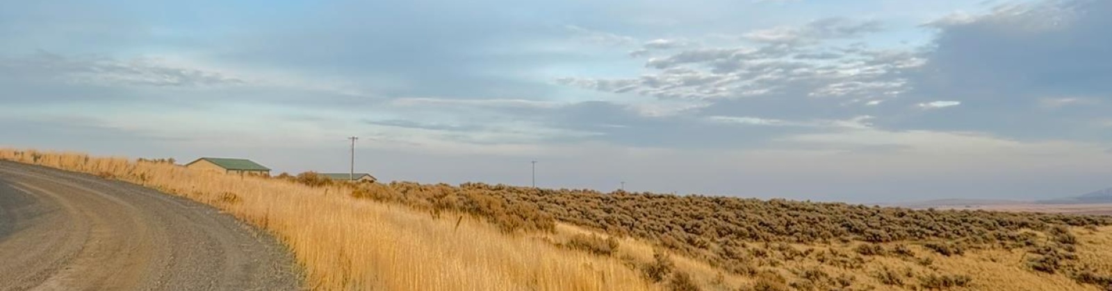 973 Pr SE, Kennewick, Washington 99338, 0 , 0 ,0,Land/lots,For Sale,973 Pr SE,0,288899