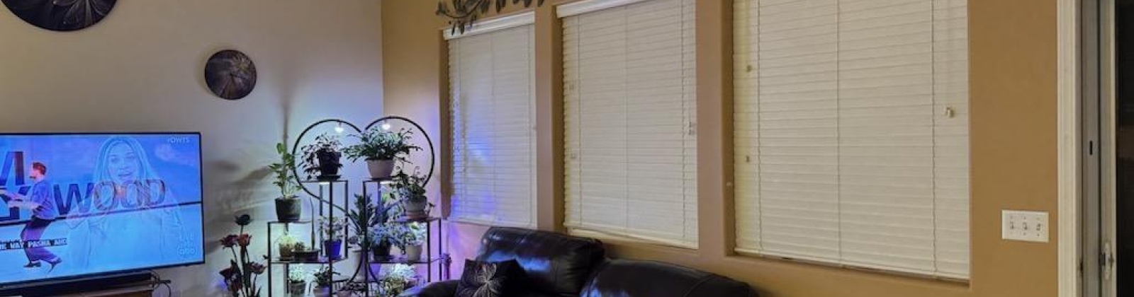 Arthur Pl, Kennewick, Washington 99336, 3 Bedrooms Bedrooms, 0 ,2 BathroomsBathrooms,Houses,For Sale,Arthur Pl,0,288925