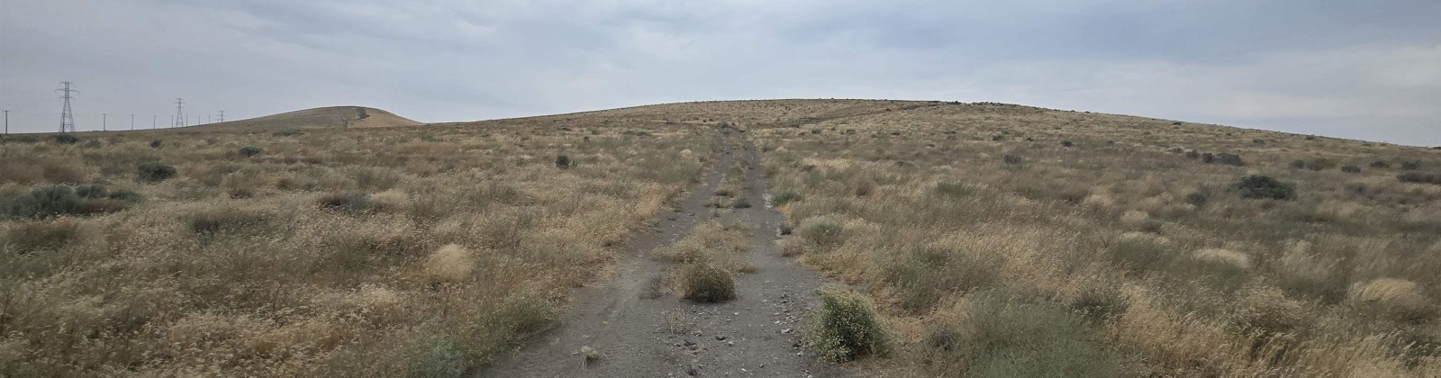 S. Olympia Street (12.38 acres), Kennewick, Washington 99337, 0 , 0 ,0,Land/lots,For Sale,S. Olympia Street (12.38 acres),0,286377