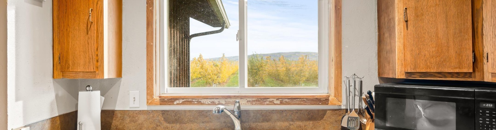 Potter Rd, Tieton, Washington 98947, 3 Bedrooms Bedrooms, 0 ,1 BathroomBathrooms,Houses,For Sale,Potter Rd,0,288964