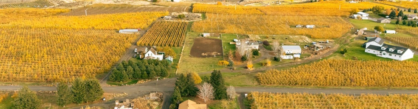 Potter Rd, Tieton, Washington 98947, 3 Bedrooms Bedrooms, 0 ,1 BathroomBathrooms,Houses,For Sale,Potter Rd,0,288964