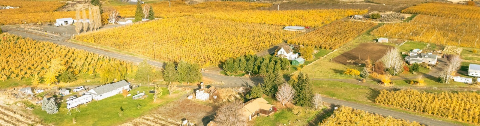 Potter Rd, Tieton, Washington 98947, 3 Bedrooms Bedrooms, 0 ,1 BathroomBathrooms,Houses,For Sale,Potter Rd,0,288964