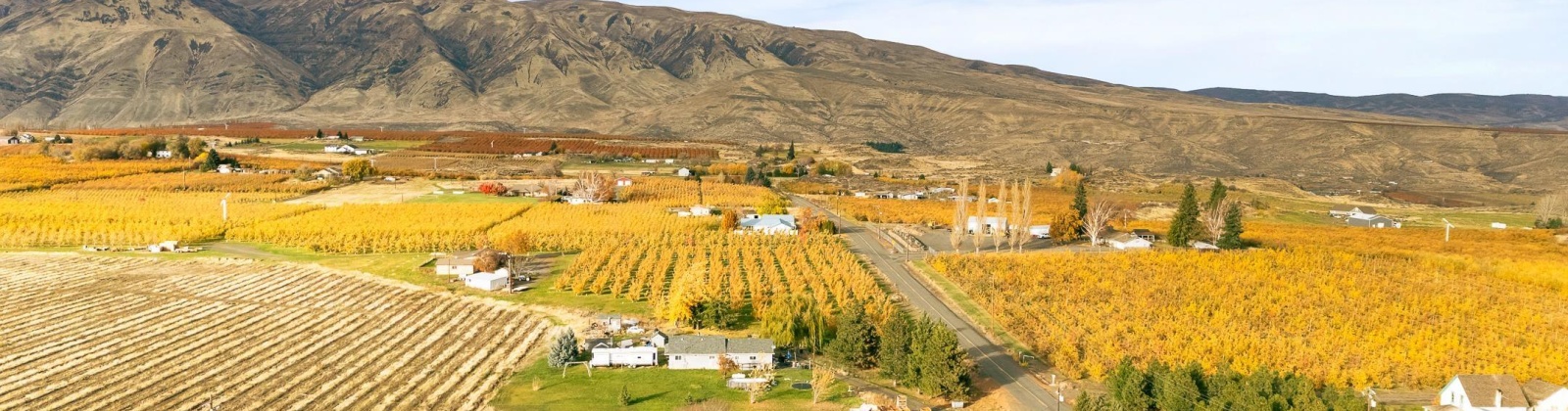 Potter Rd, Tieton, Washington 98947, 3 Bedrooms Bedrooms, 0 ,1 BathroomBathrooms,Houses,For Sale,Potter Rd,0,288964