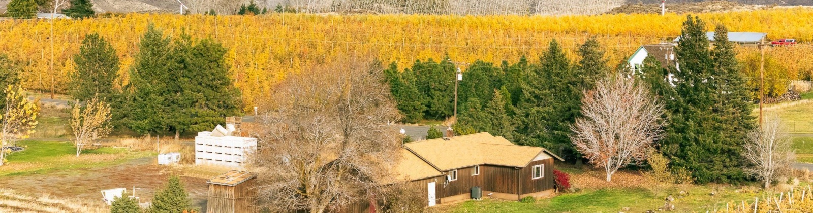 Potter Rd, Tieton, Washington 98947, 3 Bedrooms Bedrooms, 0 ,1 BathroomBathrooms,Houses,For Sale,Potter Rd,0,288964