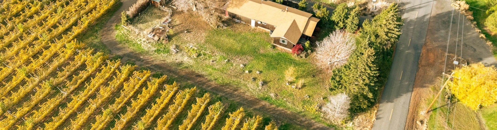 Potter Rd, Tieton, Washington 98947, 3 Bedrooms Bedrooms, 0 ,1 BathroomBathrooms,Houses,For Sale,Potter Rd,0,288964