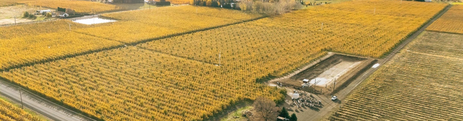 Potter Rd, Tieton, Washington 98947, 3 Bedrooms Bedrooms, 0 ,1 BathroomBathrooms,Houses,For Sale,Potter Rd,0,288964