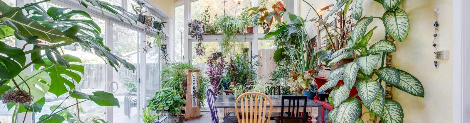 Glen Echo Rd, Pullman, Washington 99163, 4 Bedrooms Bedrooms, 0 ,3 BathroomsBathrooms,Houses,For Sale,Glen Echo Rd,0,288626