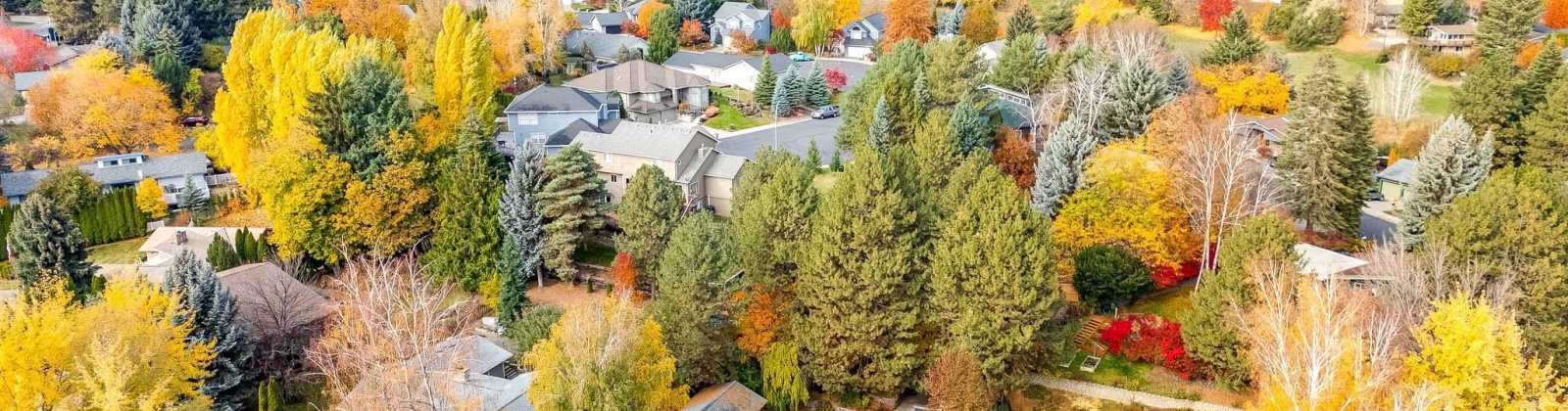 Glen Echo Rd, Pullman, Washington 99163, 4 Bedrooms Bedrooms, 0 ,3 BathroomsBathrooms,Houses,For Sale,Glen Echo Rd,0,288626