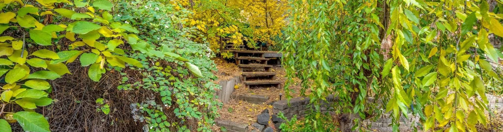 Glen Echo Rd, Pullman, Washington 99163, 4 Bedrooms Bedrooms, 0 ,3 BathroomsBathrooms,Houses,For Sale,Glen Echo Rd,0,288626