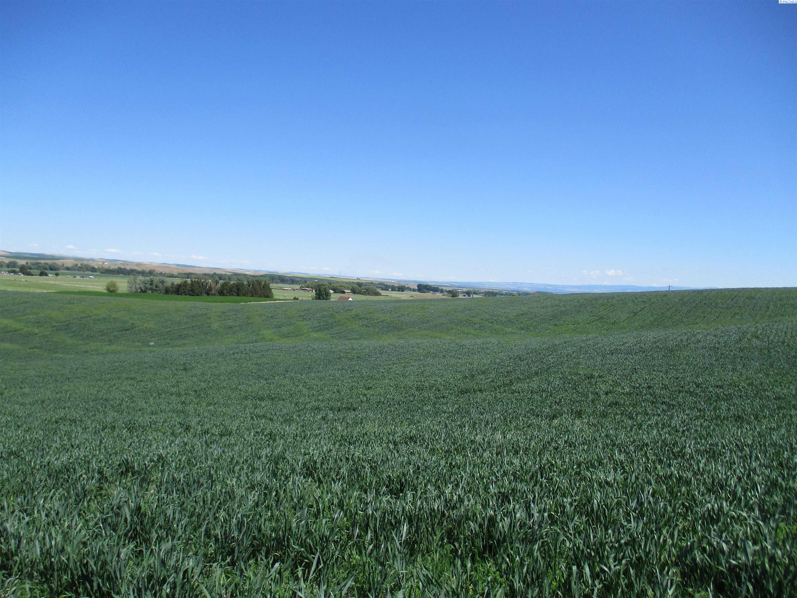 Detour Road, Touchet, Washington 99360, 0 , 0 ,0,Agricultural Land,For Sale,Detour Road,0,288994