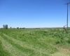 Detour Road, Touchet, Washington 99360, 0 , 0 ,0,Agricultural Land,For Sale,Detour Road,0,288994