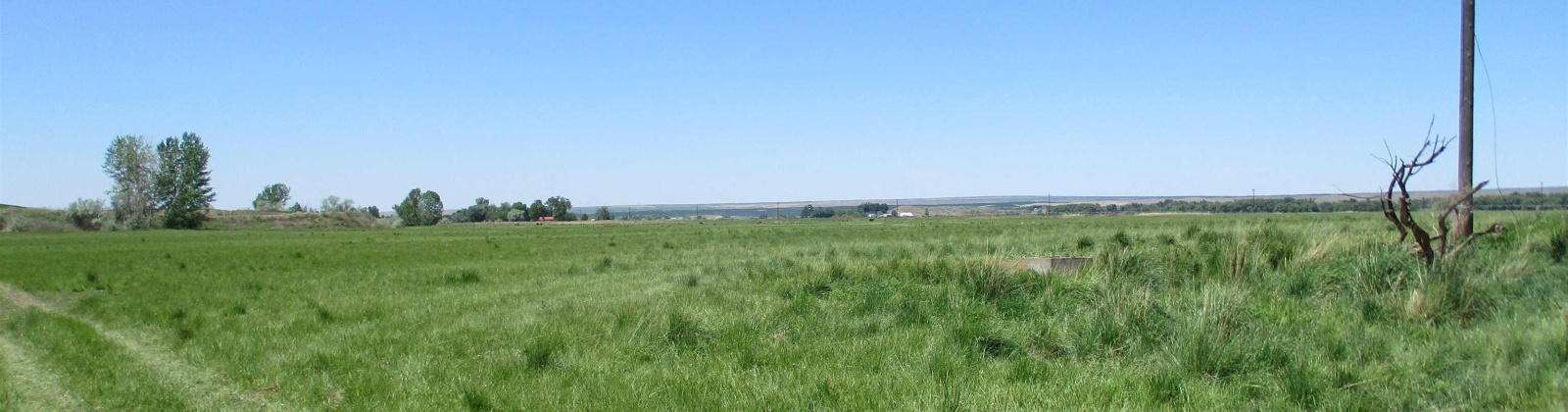 Detour Road, Touchet, Washington 99360, 0 , 0 ,0,Agricultural Land,For Sale,Detour Road,0,288994