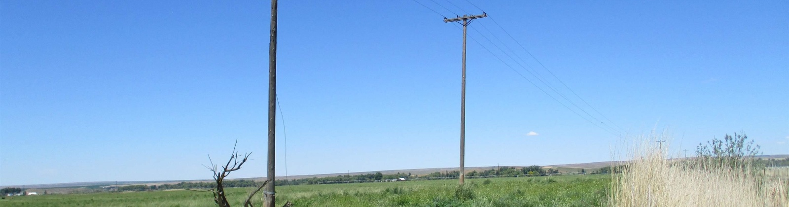 Detour Road, Touchet, Washington 99360, 0 , 0 ,0,Agricultural Land,For Sale,Detour Road,0,288994