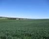 Detour Road, Touchet, Washington 99360, 0 , 0 ,0,Agricultural Land,For Sale,Detour Road,0,288994