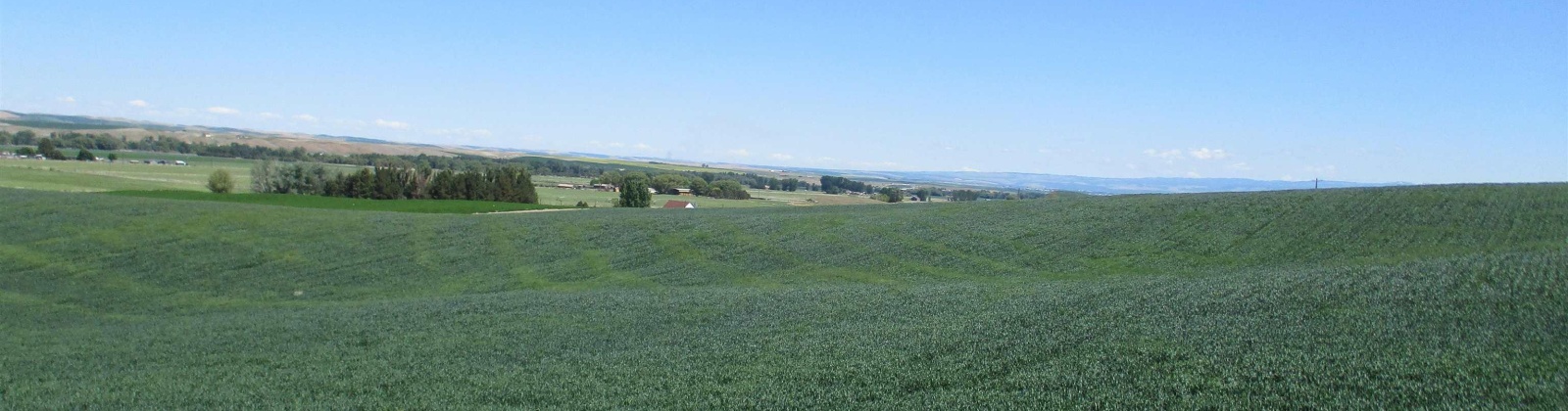 Detour Road, Touchet, Washington 99360, 0 , 0 ,0,Agricultural Land,For Sale,Detour Road,0,288994