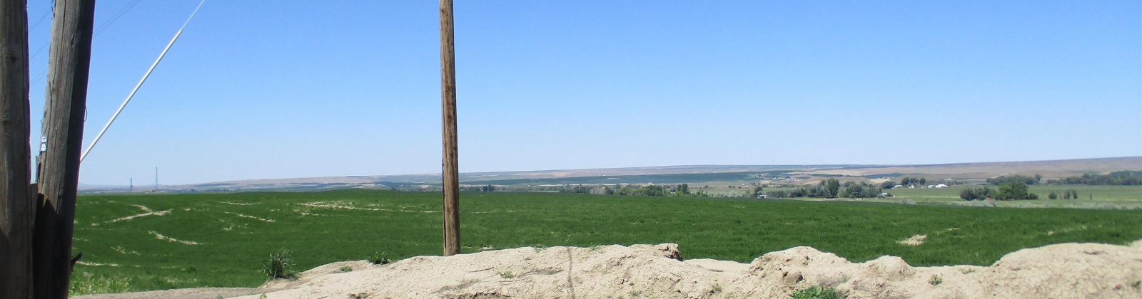 Detour Road, Touchet, Washington 99360, 0 , 0 ,0,Agricultural Land,For Sale,Detour Road,0,288994