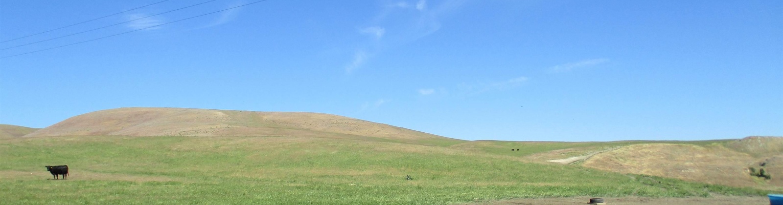 Beyerly Road, Touchet, Washington, 0 , 0 ,0,Agricultural Land,For Sale,Beyerly Road,0,288996