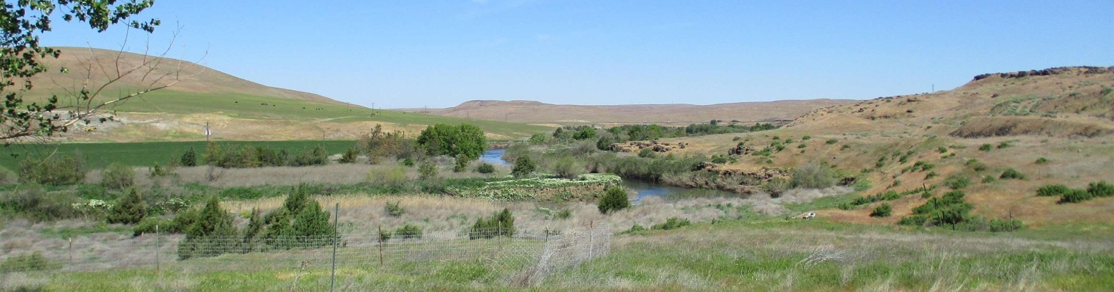 Beyerly Road, Touchet, Washington, 0 , 0 ,0,Agricultural Land,For Sale,Beyerly Road,0,288996
