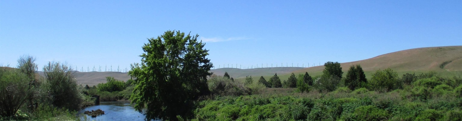 Beyerly Road, Touchet, Washington, 0 , 0 ,0,Agricultural Land,For Sale,Beyerly Road,0,288996