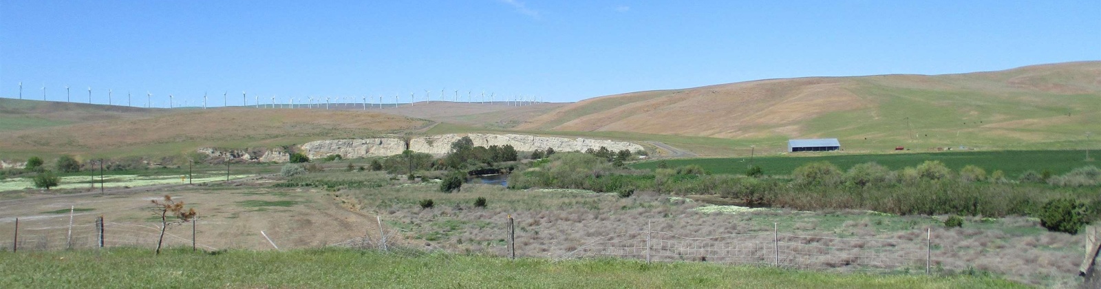 Beyerly Road, Touchet, Washington, 0 , 0 ,0,Agricultural Land,For Sale,Beyerly Road,0,288996