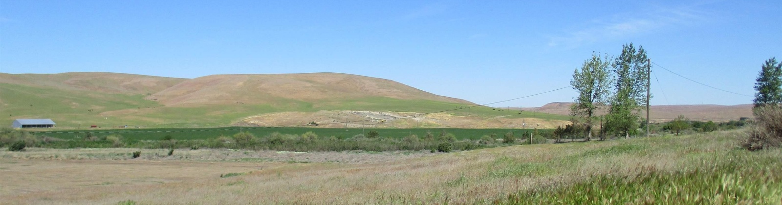 Beyerly Road, Touchet, Washington, 0 , 0 ,0,Agricultural Land,For Sale,Beyerly Road,0,288996