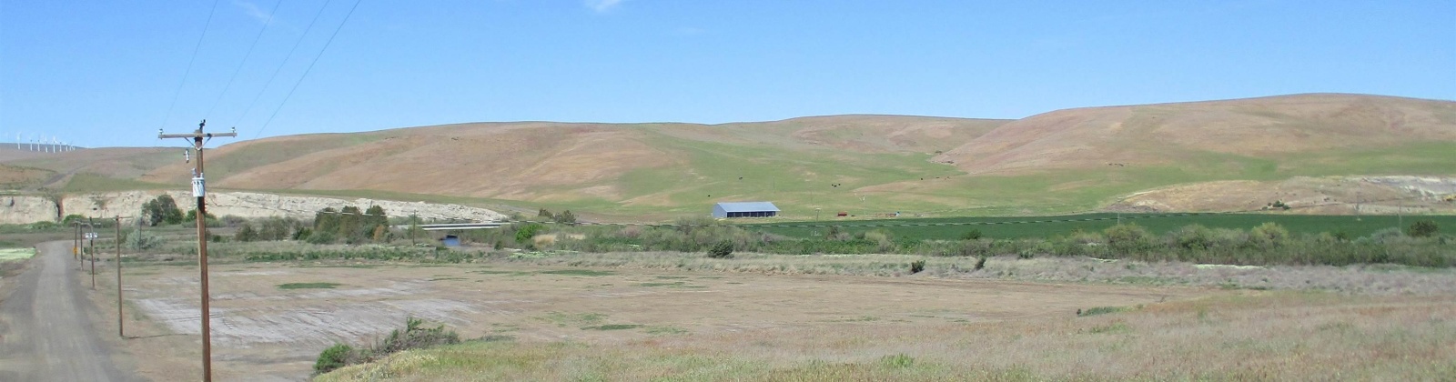 Beyerly Road, Touchet, Washington, 0 , 0 ,0,Agricultural Land,For Sale,Beyerly Road,0,288996
